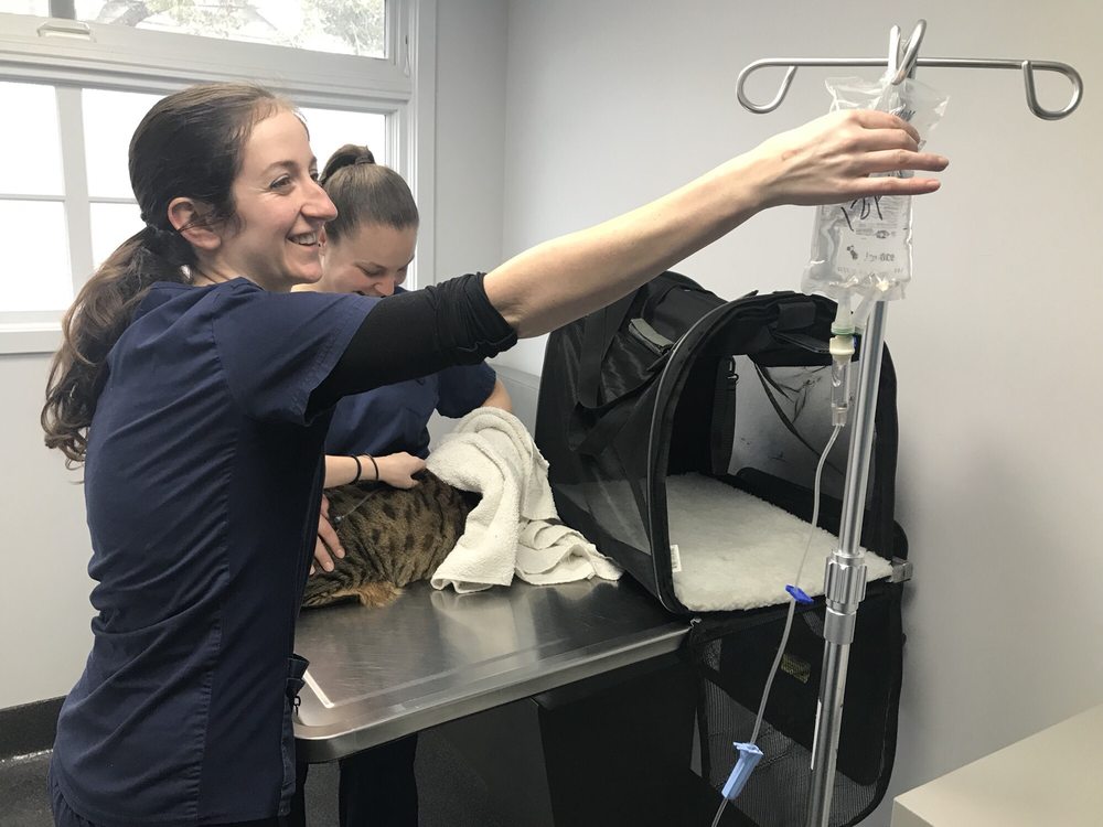 PROVIDENCE VETERINARY HOSPITAL 44 Photos & 185 Reviews