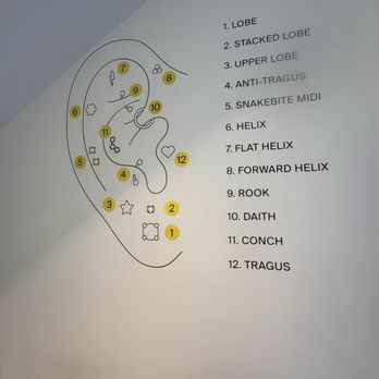 STUDS - List of piercings placement - Jewelry Near Me - Seattle, Washington