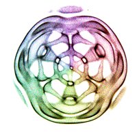 The Awakening Spirit