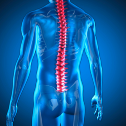 Ramby Chiropractic
