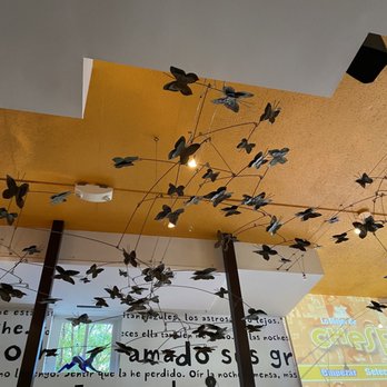 Oyamel - Butterfly decorations - Mexican Near Me - Washington, DC, District of Columbia Oyamel - Butterfly decorations - Mexican Near Me - Washington, DC, District of Columbia