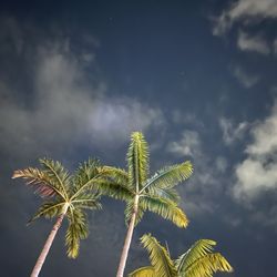 Bolu Doner Kebab - A gorgeous night in SoBe