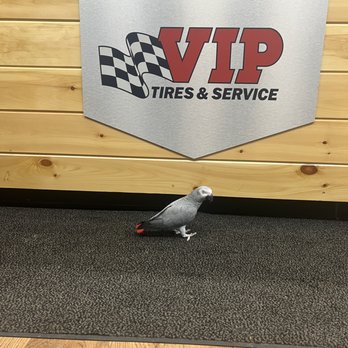 VIP Tires & Service - Tires Near Me - Mexico, Maine VIP Tires & Service - Tires Near Me - Mexico, Maine