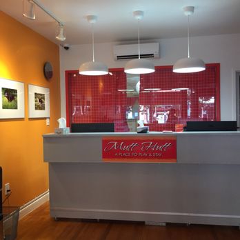 Mutt Hutt - Pet Boarding Near Me - New York, New York Mutt Hutt - Pet Boarding Near Me - New York, New York