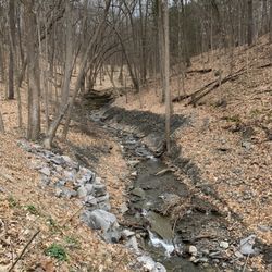 Smith Memorial Park - Beautiful area to get some fresh air ver beautiful and secluded. Great place to social distance yourself. More pictures coming soon.