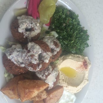 Cedars Restaurant - Falafel plate! Yum! - Lebanese Near Me - Memphis, Tennessee