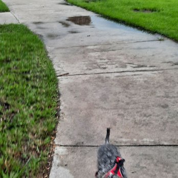 Canine Corner Dog Park - Dog Parks Near Me - Pompano Beach, Florida
