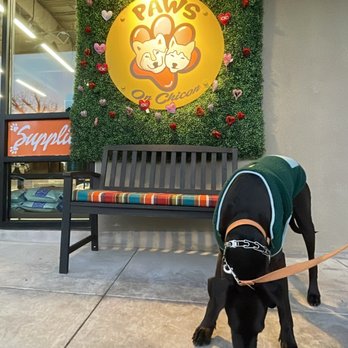 Paws on Chicon - Pet Stores Near Me - Austin, Texas