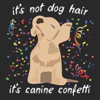 Value In Pets - IKR - Pet Groomers Near Me Value In Pets - IKR - Pet Groomers Near Me