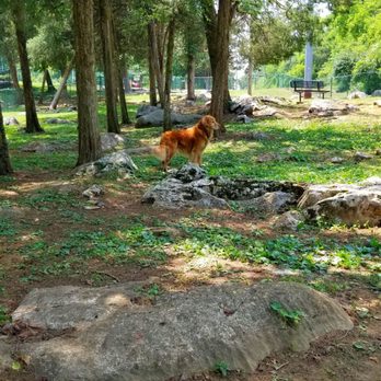 Charter Doyle PetSafe Dog Park - Dog Parks Near Me - Knoxville, Tennessee
