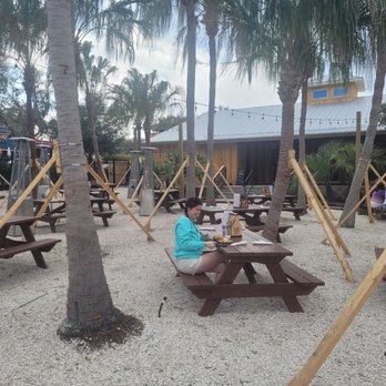 Salt Shack - This is a cool area where they put like 15 palm trees with picnic tables - Seafood Near Me - Clermont, Florida Salt Shack - This is a cool area where they put like 15 palm trees with picnic tables - Seafood Near Me - Clermont, Florida