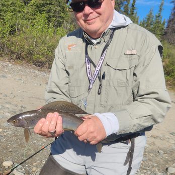 Denali Fly Fishing Guides - A nice 15"-16" artic grayling on the Brushkana Creek, Alaska. - Fishing Near Me - Cantwell, Alaska Denali Fly Fishing Guides - A nice 15"-16" artic grayling on the Brushkana Creek, Alaska. - Fishing Near Me - Cantwell, Alaska
