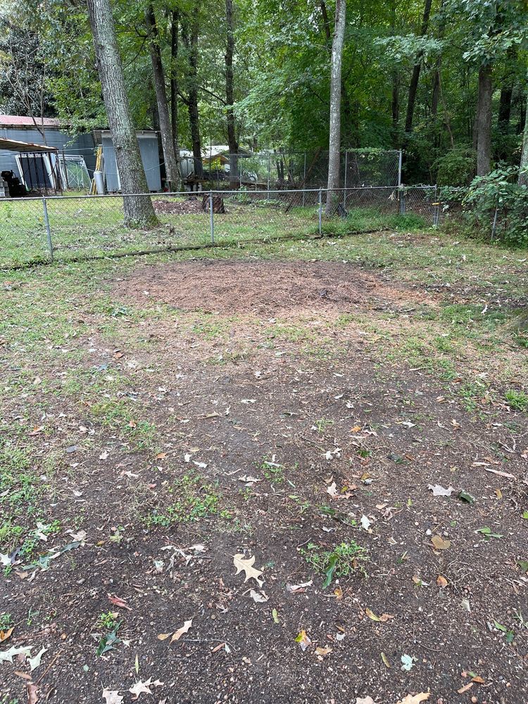 Conner Tree Service - tree service in Quinton, VA