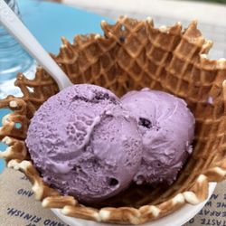 Jeni's Splendid Ice Creams - Maven