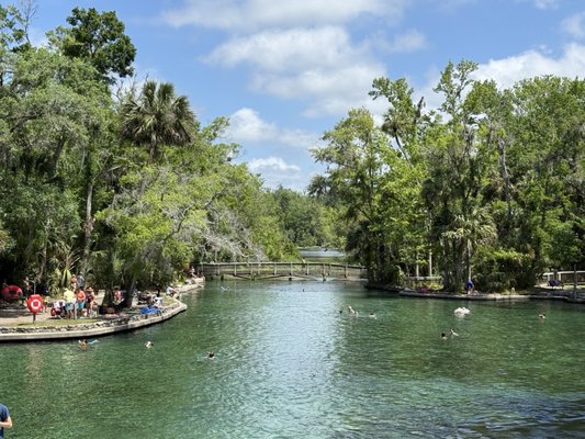Wekiwa Springs State Park by null