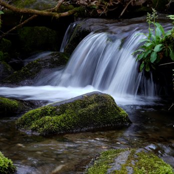 Roaring Fork Motor Nature Trail - Hiking Near Me