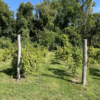 Torne Valley Vineyards - Venues & Event Spaces Near Me - Suffern, New York Torne Valley Vineyards - Venues & Event Spaces Near Me - Suffern, New York