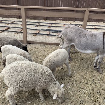 The Farm - Attraction Farms Near Me - West Jordan, Utah The Farm - Attraction Farms Near Me - West Jordan, Utah