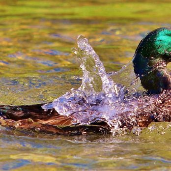 Crescent Bend Nature Park - Parks Near Me - Schertz, Texas