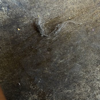 OBON Sushi Bar Ramen - Hair? Not sure. On the floor next to our table. - Sushi Bars Near Me - Scottsdale, Arizona
