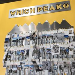 Which Wich