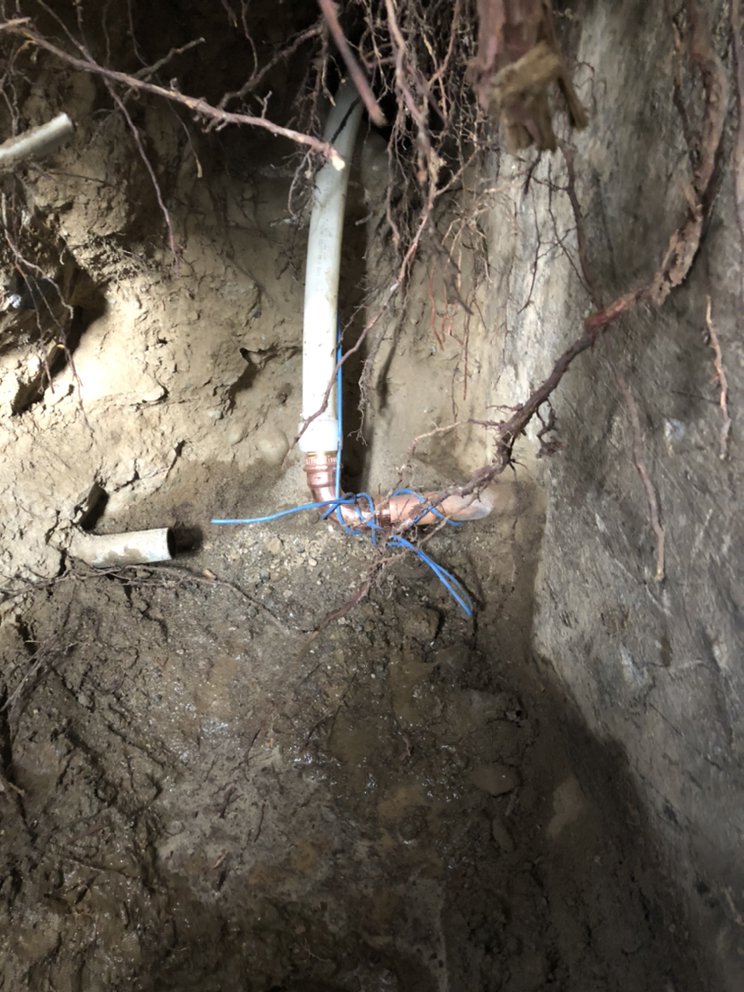 Slide of DNA Plumbing