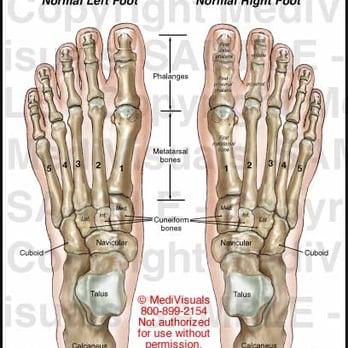 Christopher Ferguson, DPM - Comprehensive foot care for all your foot problems - Podiatrists Near Me - Levittown, New York Christopher Ferguson, DPM - Comprehensive foot care for all your foot problems - Podiatrists Near Me - Levittown, New York