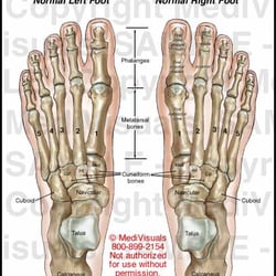 Christopher Ferguson, DPM - Comprehensive foot care for all your foot problems