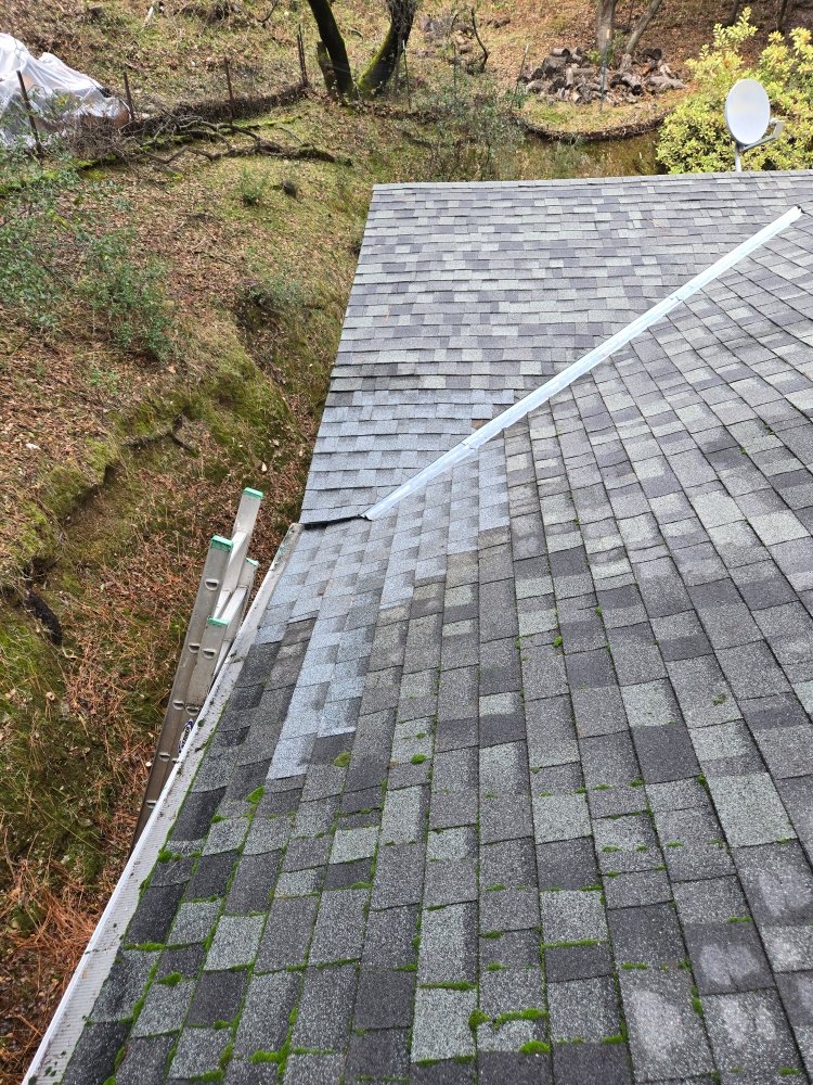 Slide of The Handy Couple