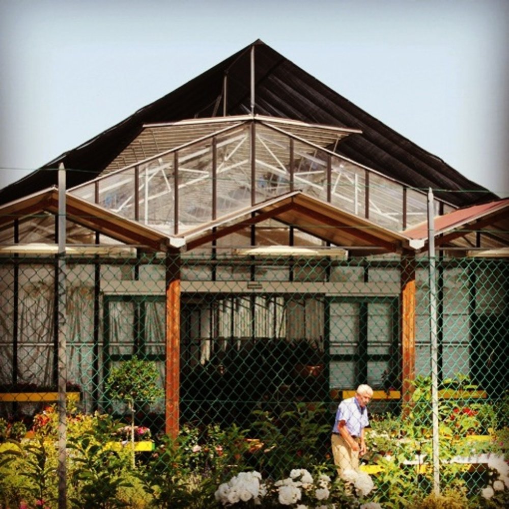 TOP 10 BEST Garden Centres near Arezzo, Italy - Updated 2026 - Yelp, image size:1000x1000