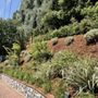 Natural Paradise Landscape