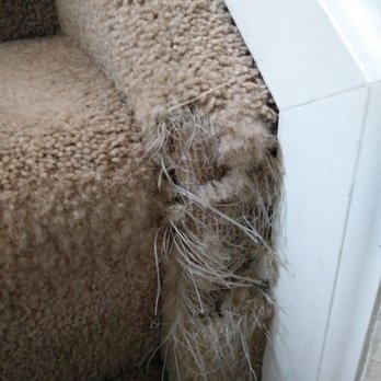 Elite Eco Solutions - Carpet Cleaning Near Me Elite Eco Solutions - Carpet Cleaning Near Me