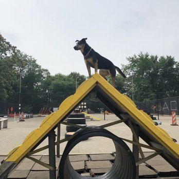 Jackson Bark - Dog Parks Near Me - Chicago, Illinois