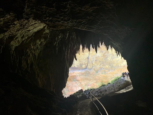 Parque Nacional de las Cavernas del Río Camuy by null