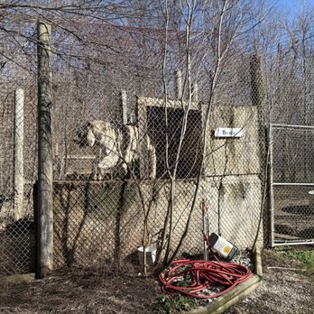 EXOTIC FELINE RESCUE CENTER - Updated July 2025 - 248 Photos & 68