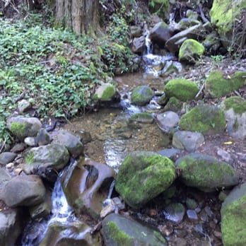 John Nicholas Trail - Hiking Near Me - Los Gatos, California John Nicholas Trail - Hiking Near Me - Los Gatos, California