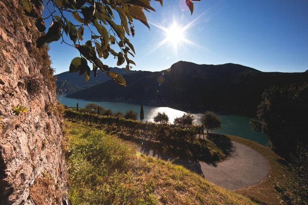 Tenuta Castello di Morcote by null