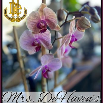 Mrs. DeHaven's Flower Shop - Florists Near Me - Tulsa, Oklahoma Mrs. DeHaven's Flower Shop - Florists Near Me - Tulsa, Oklahoma