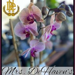 Mrs. DeHaven's Flower Shop