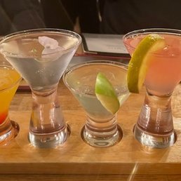 Goose Flight!