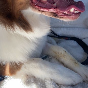 PetSmart - Pet Stores Near Me - Las Vegas, Nevada PetSmart - Pet Stores Near Me - Las Vegas, Nevada