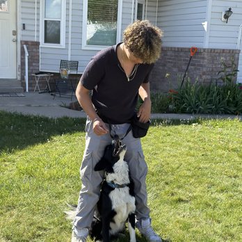 Summit Canine Academy - Pet Training Near Me Summit Canine Academy - Pet Training Near Me
