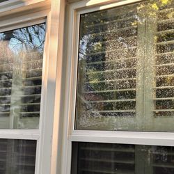 Window World of the Triad - Window World windows and bubbling.