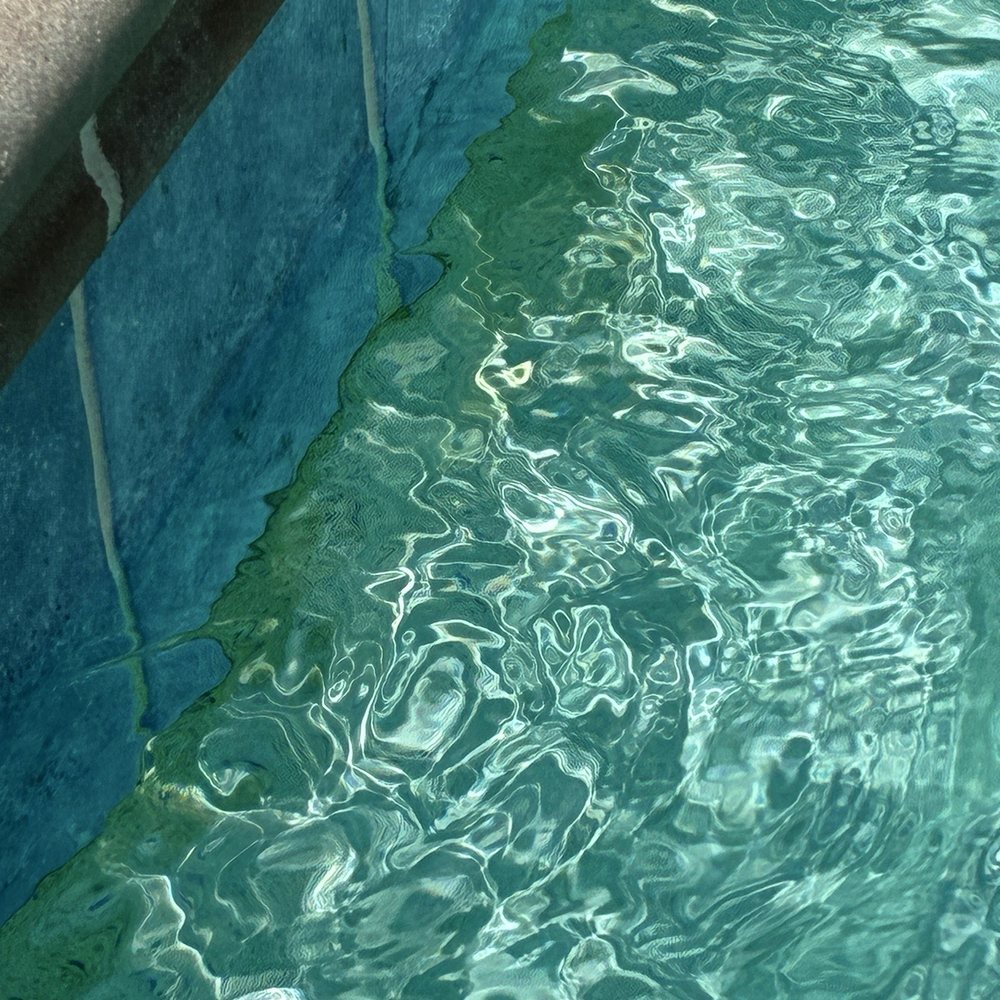 Sharper Image Pools - Algae! - Pool & Hot Tub Service Near Me - Tampa, Florida Sharper Image Pools - Algae! - Pool & Hot Tub Service Near Me - Tampa, Florida