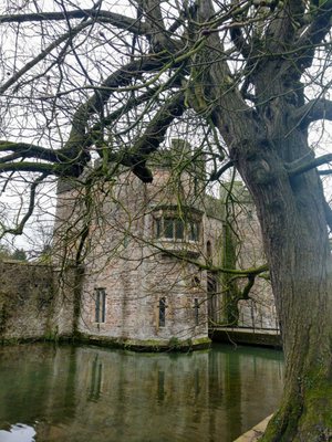 The Bishop's Palace & Gardens by null