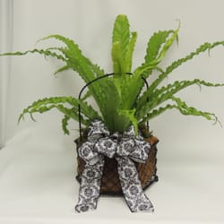 Drum's Floral Designs