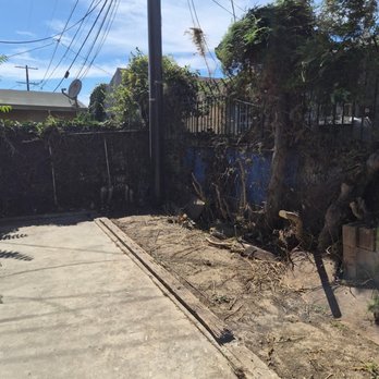 Blue Rock Property Services - After clean up - Landscaping Near Me - San Fernando, California Blue Rock Property Services - After clean up - Landscaping Near Me - San Fernando, California
