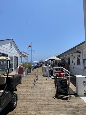 Malibu Pier by null