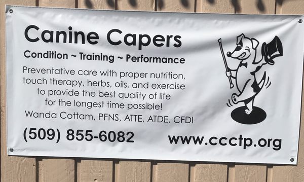 Canine Capers in Moses Lake