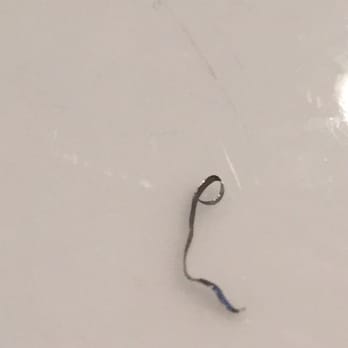 Mikey V's Cafe - Found this metal strip in my menudo. Accident of course. - Mexican Near Me - Tulare, California Mikey V's Cafe - Found this metal strip in my menudo. Accident of course. - Mexican Near Me - Tulare, California
